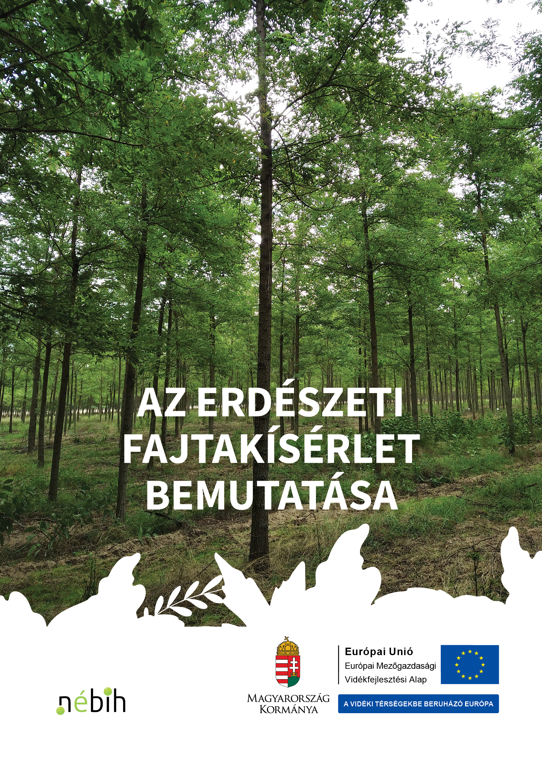 Erdészeti fajtakísérlet bemutatása kiadvány